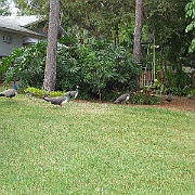 Picture 007